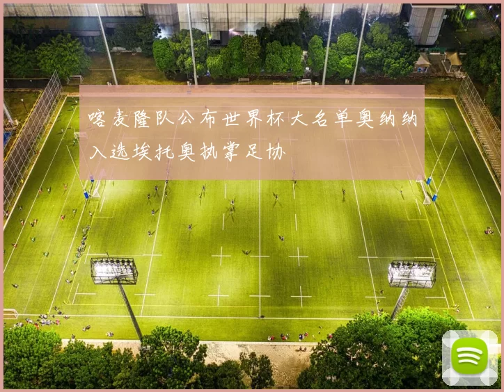 喀麦隆队公布世界杯大名单奥纳纳入选埃托奥执掌足协