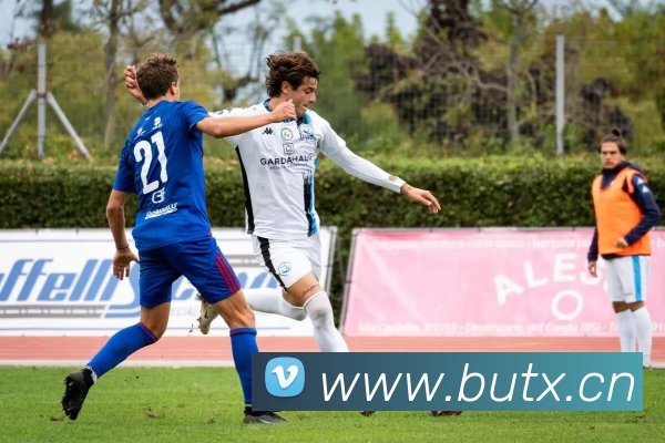 App Interface Preview